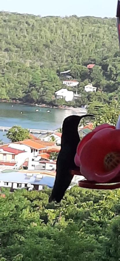 Appartement Colibri , Les Anses D 'Arlet 외부 사진
